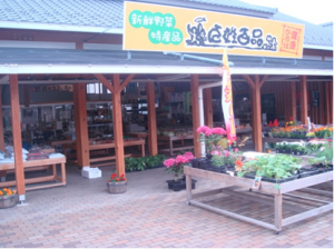 百姓百品村（西予市野村町）