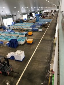 南予水産業(八幡浜市魚市場)